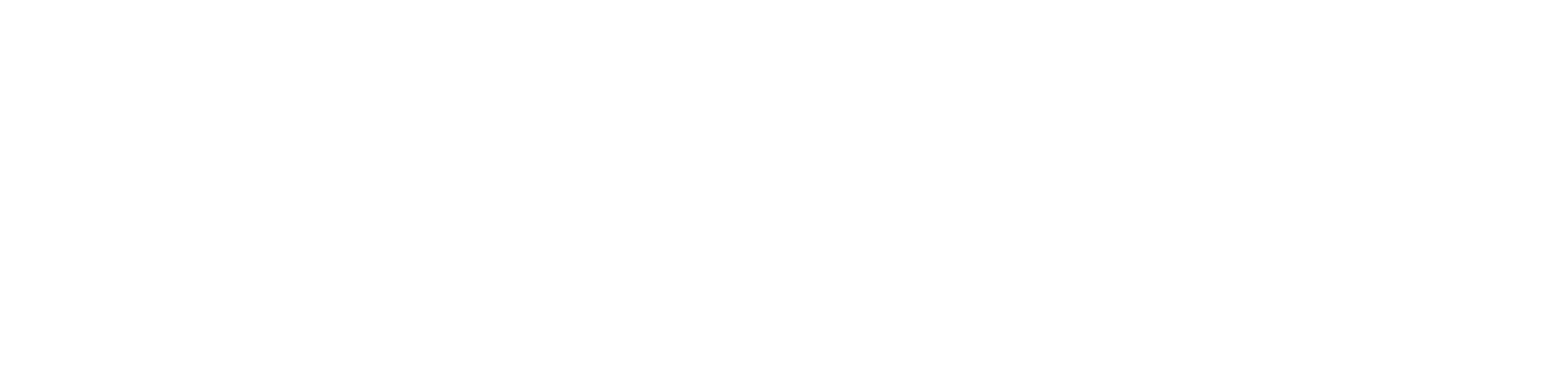 EximiusAuto